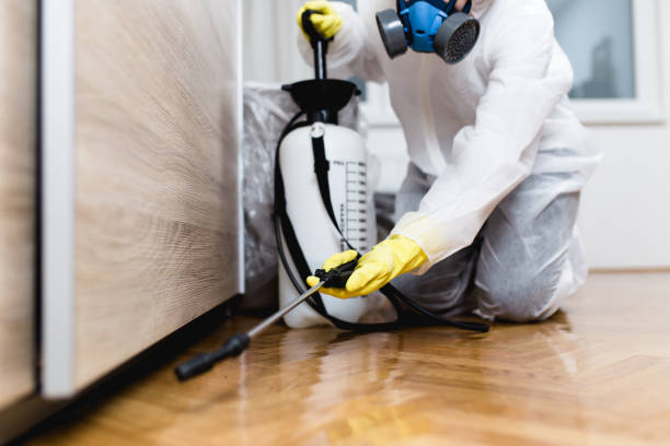 Best Pest Control Near Me in Midvale, UT