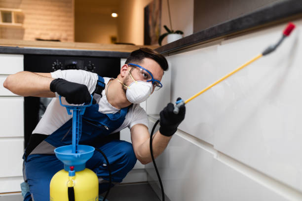 Best Emergency Pest Control  in Midvale, UT