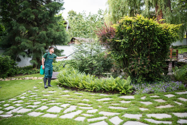 Best Pest Prevention Services  in Midvale, UT