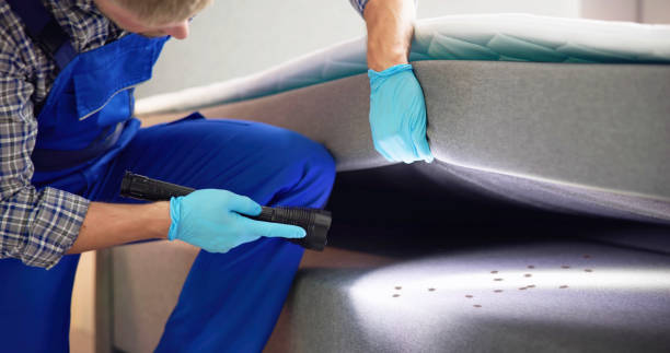 Best Pest Inspection Near Me  in Midvale, UT