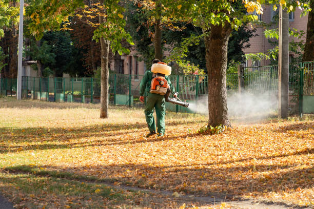 Best Pest Prevention Services  in Midvale, UT