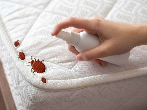 Best Pest Control Near Me  in Midvale, UT