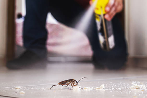 Trusted Midvale, UT Pest Control Experts