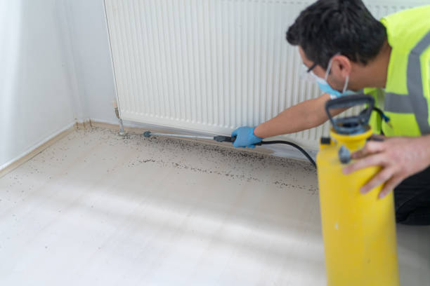 Best Ant Control Services  in Midvale, UT