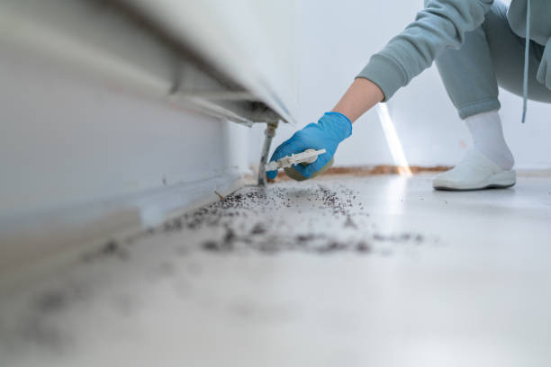 Best Wildlife Control Services  in Midvale, UT