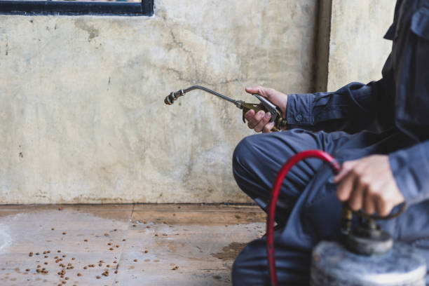 Best Affordable Pest Control Services  in Midvale, UT