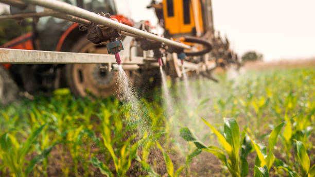 Best Commercial Pest Control Services  in Midvale, UT
